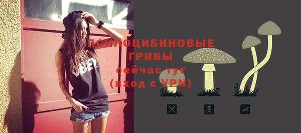 apvp Абдулино