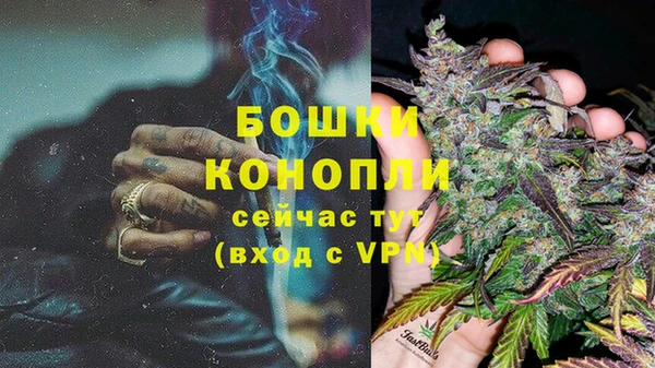 ALPHA PVP Осинники