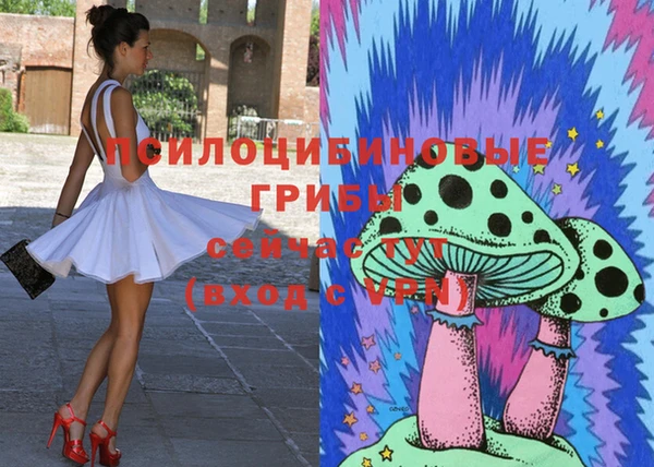 прущая мука Абаза